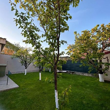 Casa Verde Constanta Ngoại thất bức ảnh
