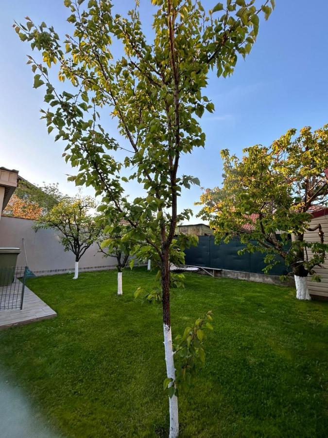 Casa Verde Constanta Ngoại thất bức ảnh